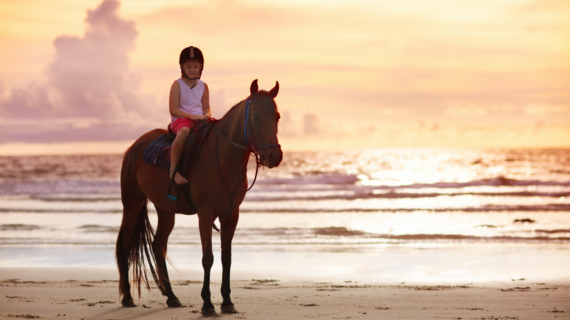 Horse Riding Gili Trawangan