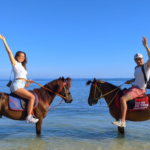 Horse Riding Gili Trawangan, Gili Air and Gili Meno