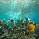 Snorkeling Gili Trawangan, Gili Air and Gili Meno