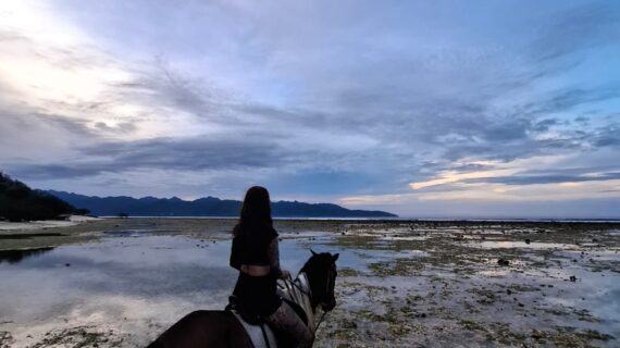 Sunrise Horseback Riding in Gili Trawangan A Magical Beach Ride with Hotel Pickup