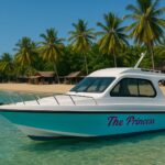 A blue and white private speed boat anchored on a quiet beach with clear water and green vegetation in the background.