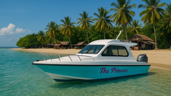 A blue and white private speed boat anchored on a quiet beach with clear water and green vegetation in the background.