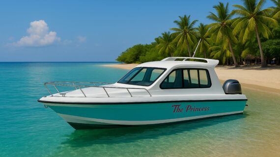 Comfortable, Safe, and Flexible Private Speedboat from Lombok to Gili
