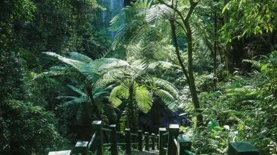 Benang Stokel and Benang Kelambu Waterfall Lombok