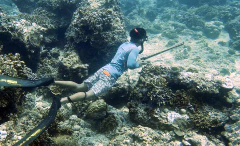 Spearfishing Adventure Enjoy Your Fresh Catch Gili Meno