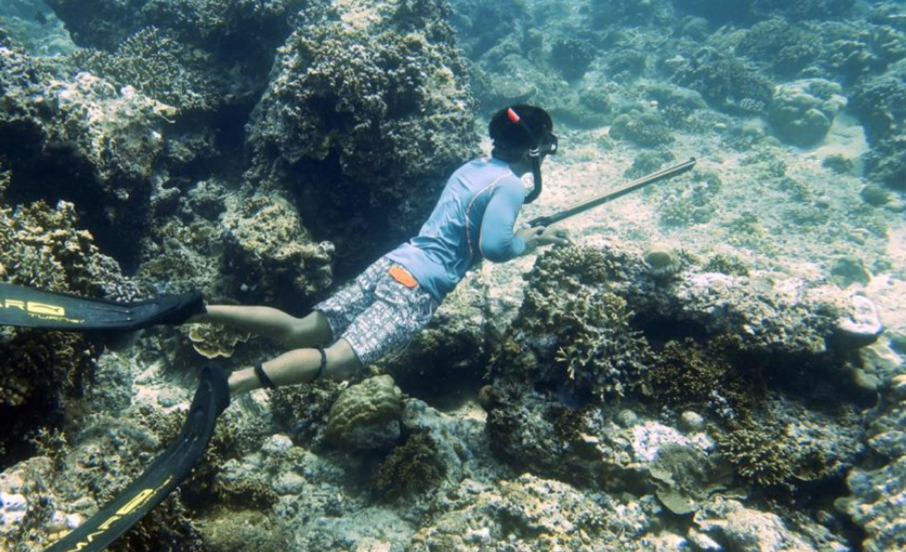 Spearfishing Adventure Enjoy Your Fresh Catch Gili Meno