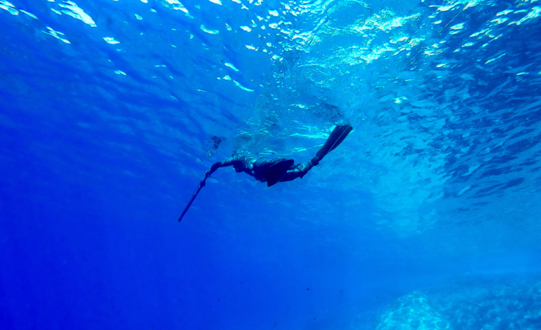 Spearfishing Adventure and Fresh Catches Gili Air