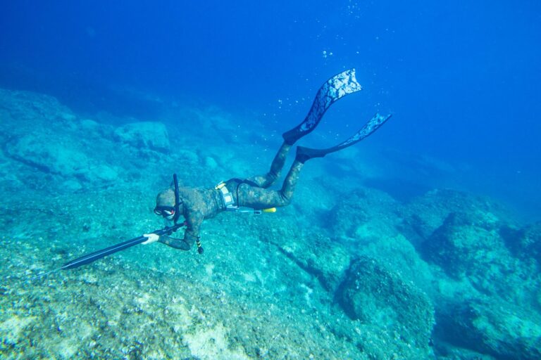 Spearfishing with Catch & Cook Experience Gili Trawangan