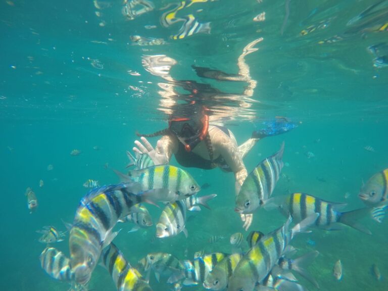 Snorkeling Gili Nanggu, Gili Sudak and Gili Kedis
